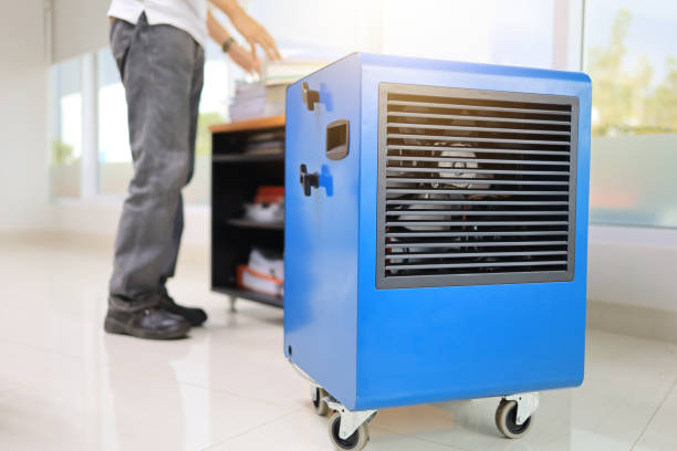 Best Emergency Mold Remediation  in Magnolia, NC